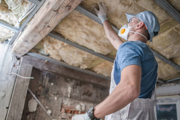 Best Insulation for Specific Applications in Pine Air, FL
